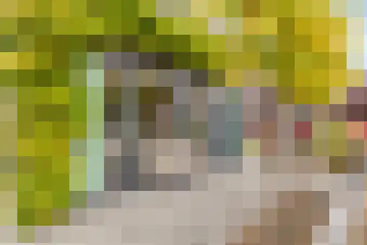 Jubelpark 28 Purmerend thumbnail 9