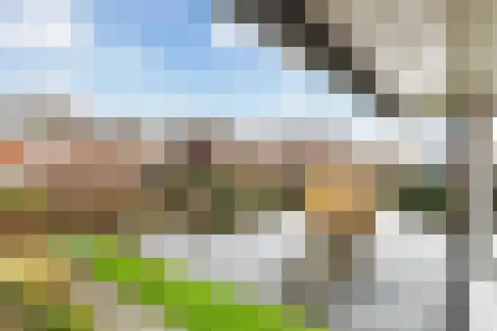 Jubileumplein 14 Rotterdam thumbnail 13