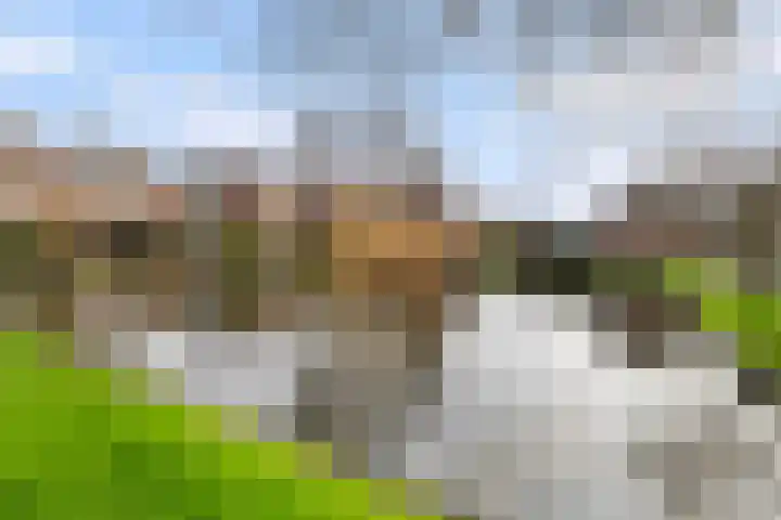 Jubileumplein 14 Rotterdam thumbnail 16
