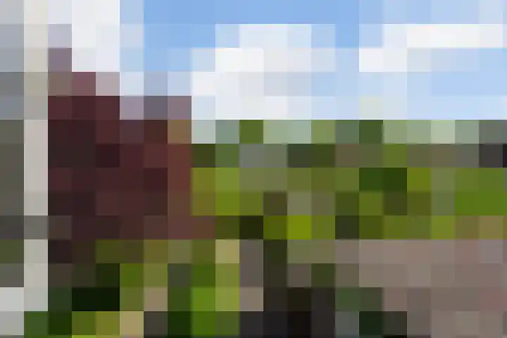 Jubileumplein 9 Rotterdam thumbnail 12