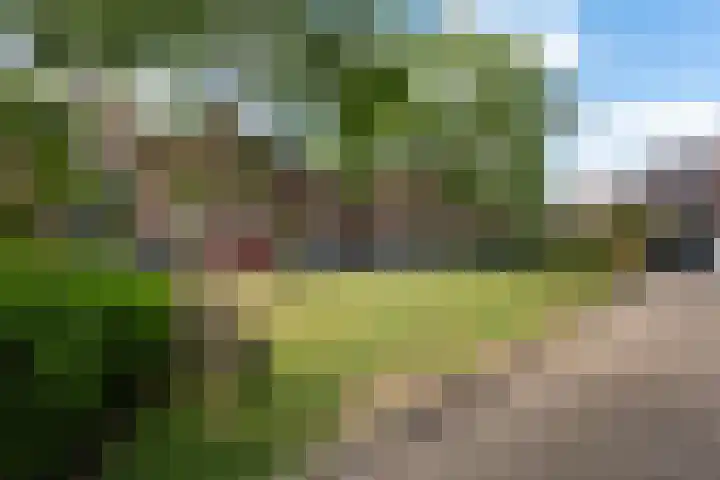 Jubileumplein 9 Rotterdam thumbnail 18