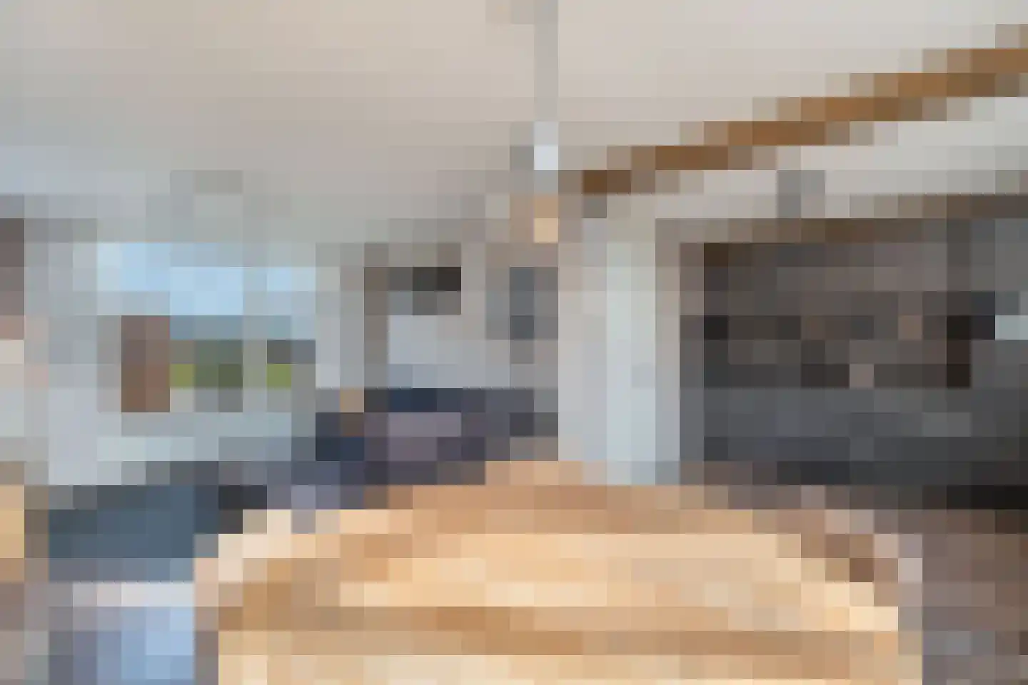 Juckemaleane 14 Sexbierum thumbnail 13