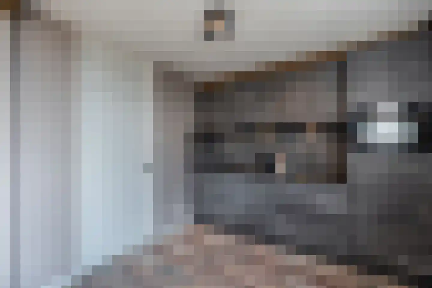 Juckemaleane 14 Sexbierum thumbnail 14