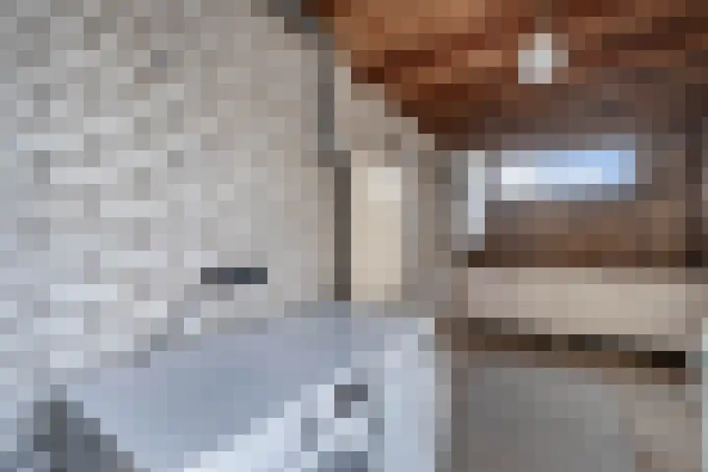 Juckemaleane 14 Sexbierum thumbnail 16