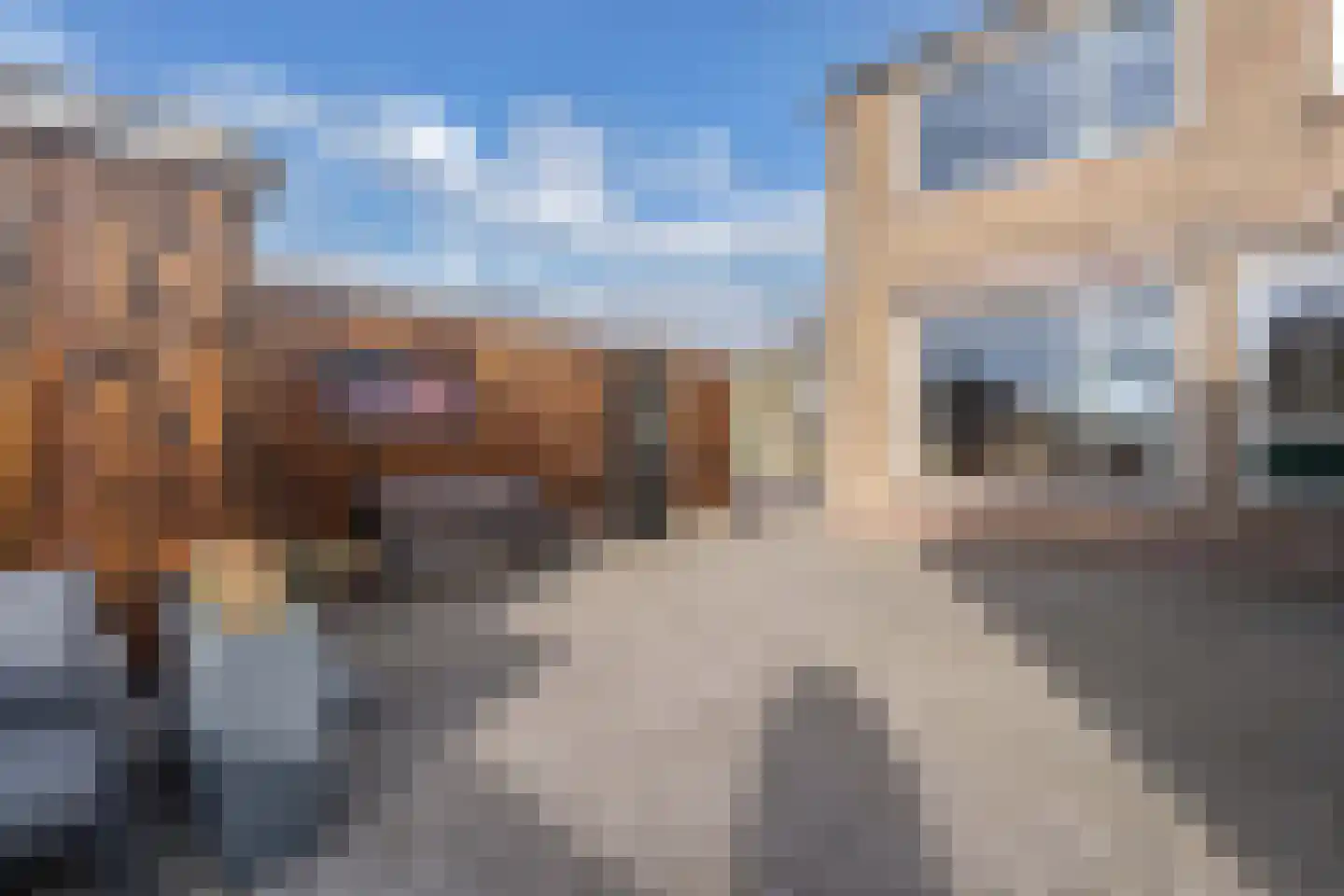 Juckemaleane 14 Sexbierum thumbnail 19