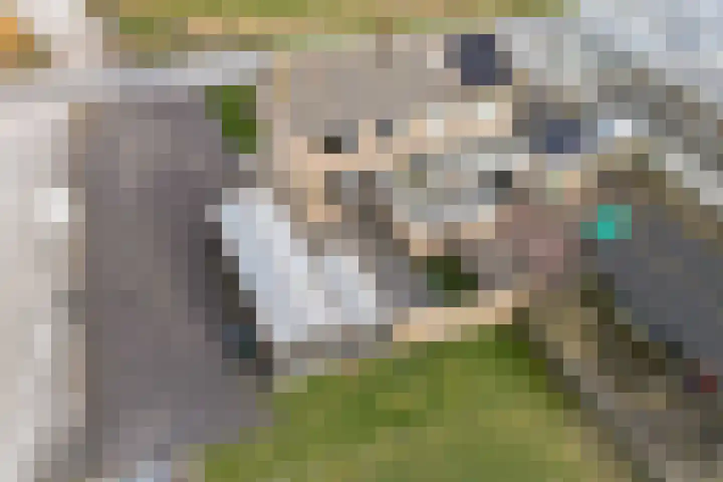 Juckemaleane 14 Sexbierum thumbnail 24