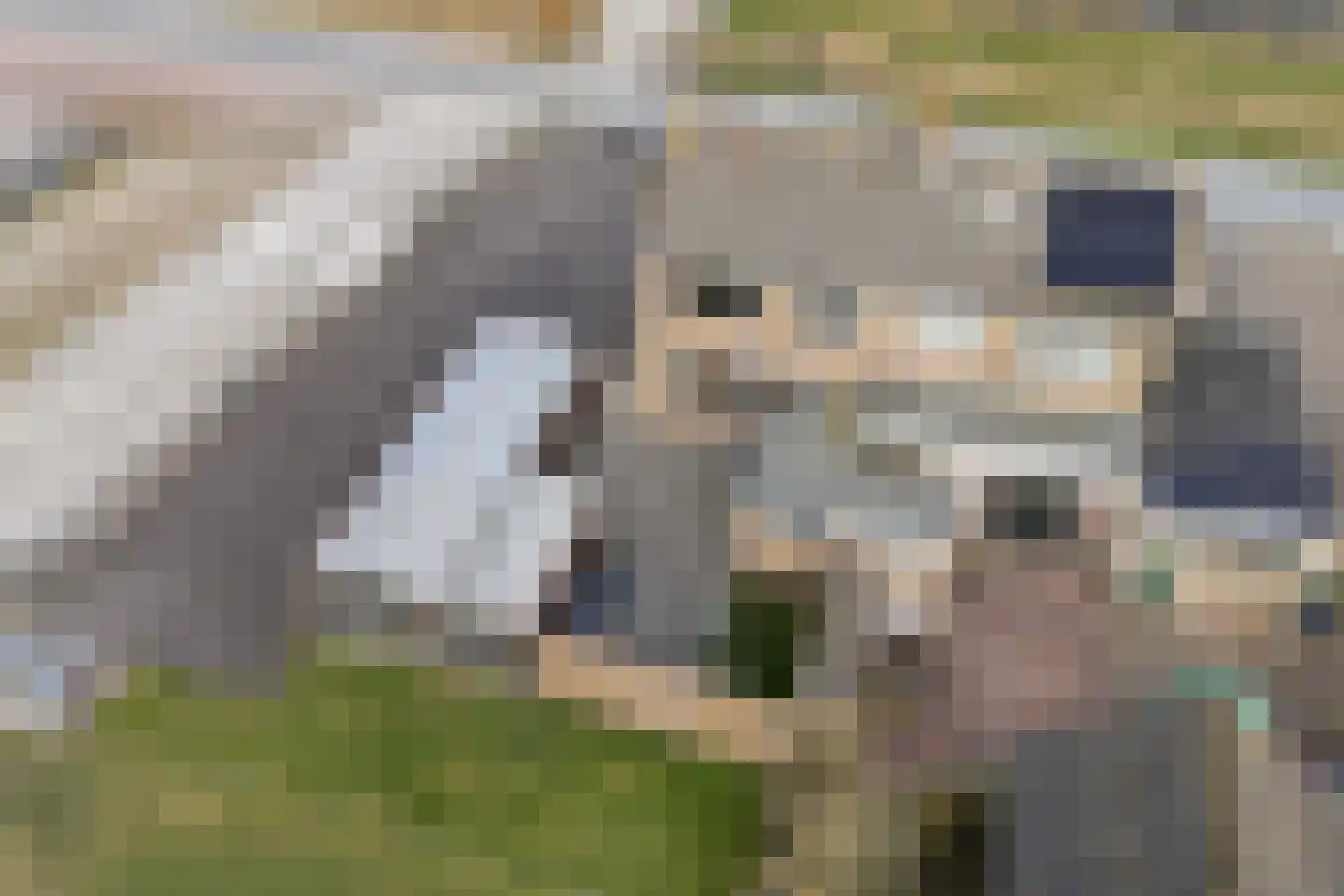 Juckemaleane 14 Sexbierum thumbnail 25