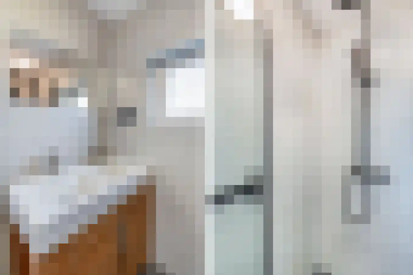 Juckemaleane 14 Sexbierum thumbnail 31