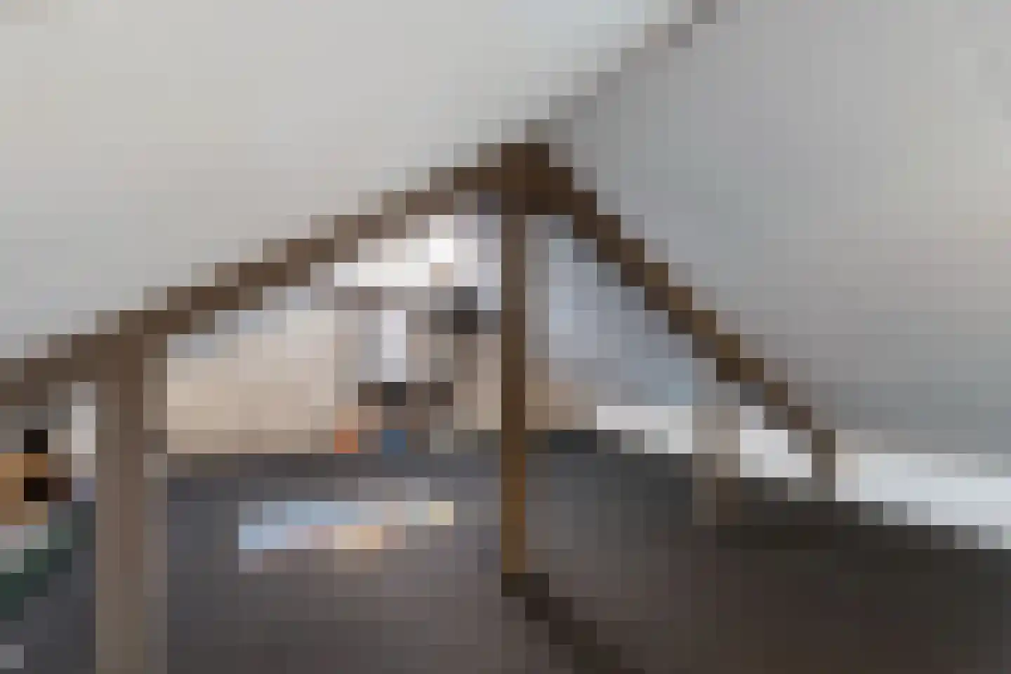 Juckemaleane 14 Sexbierum thumbnail 32