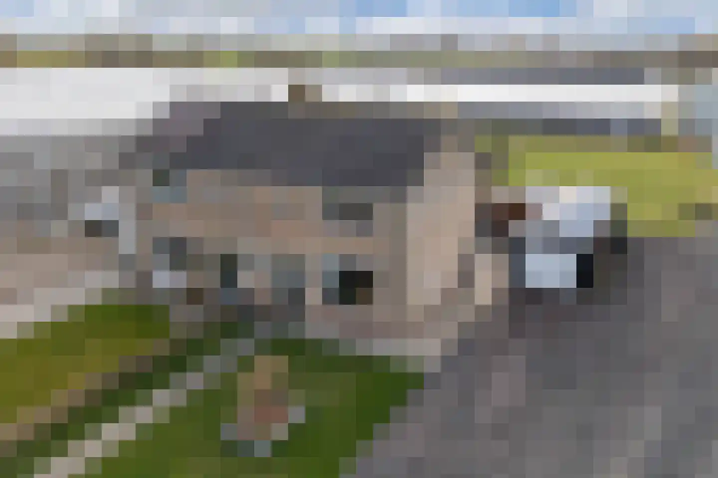 Juckemaleane 14 Sexbierum thumbnail 33