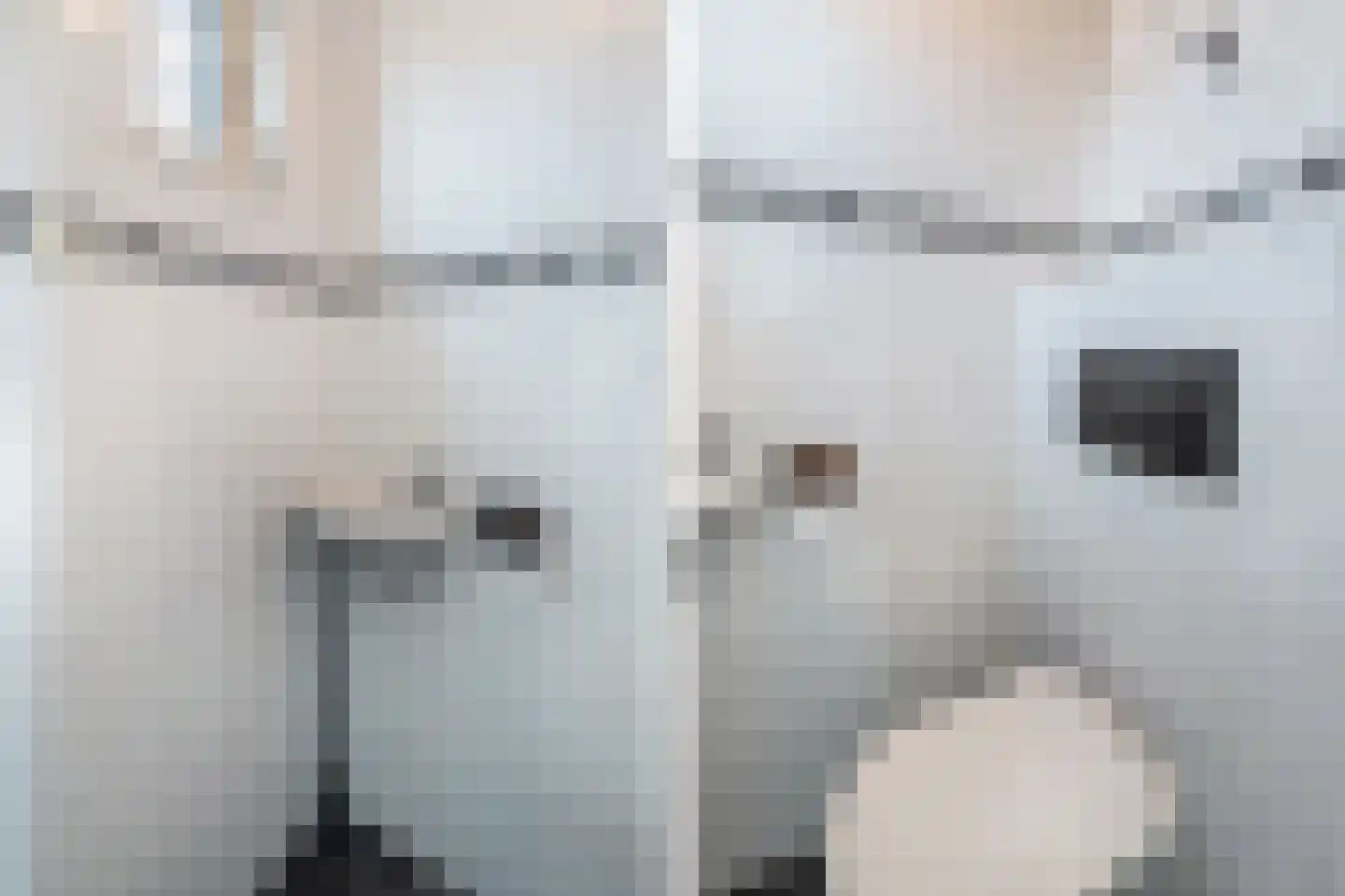 Juckemaleane 14 Sexbierum thumbnail 6