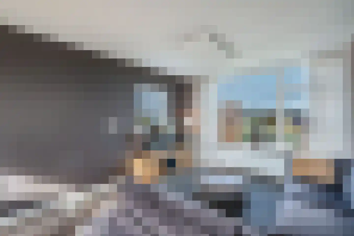 Juckemaleane 14 Sexbierum thumbnail 7
