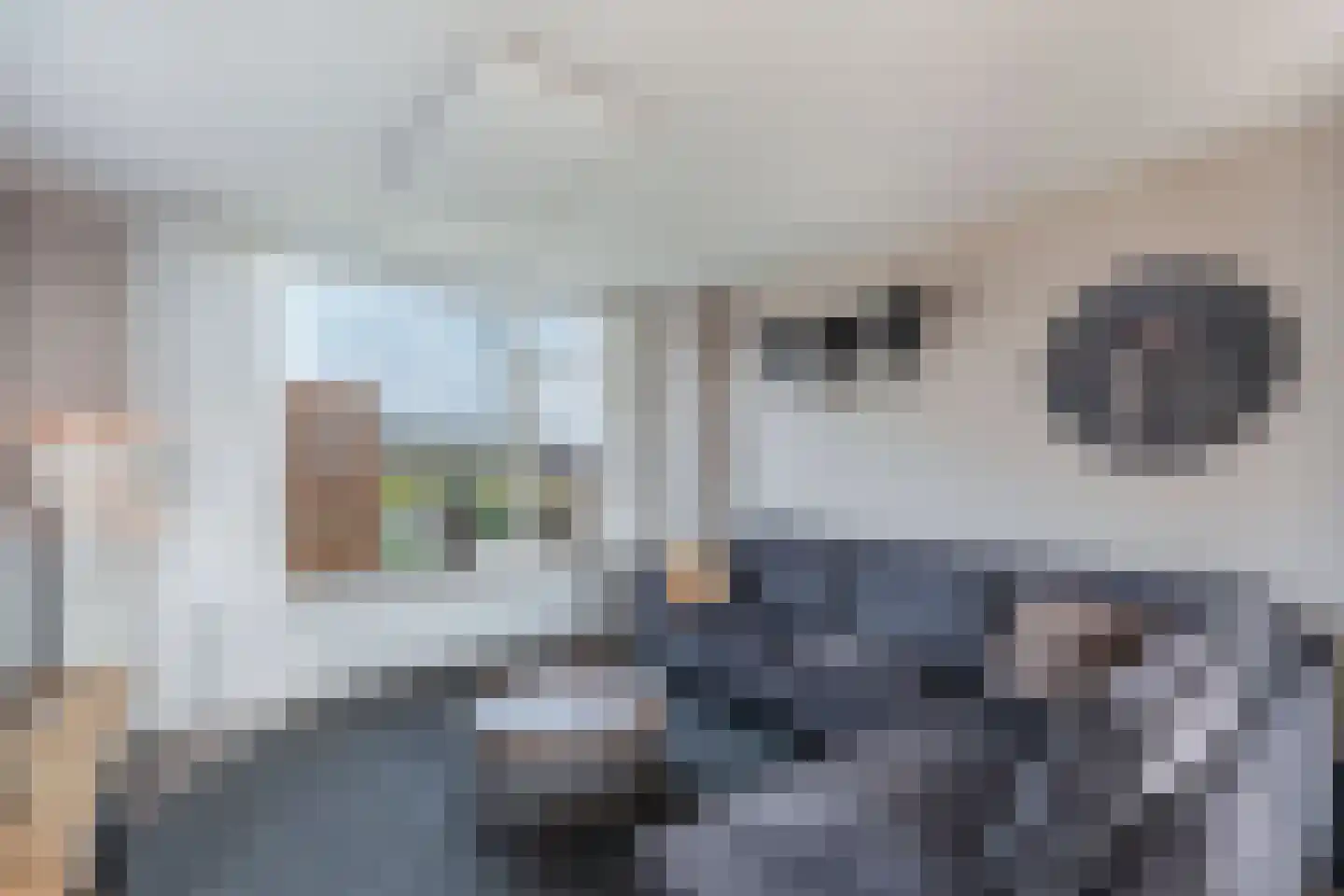 Juckemaleane 14 Sexbierum thumbnail 8