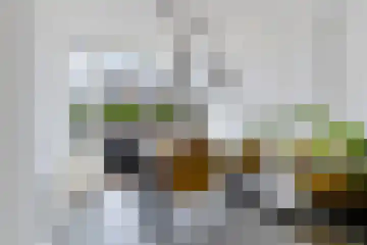 Juckemastate 3 Leeuwarden thumbnail 16