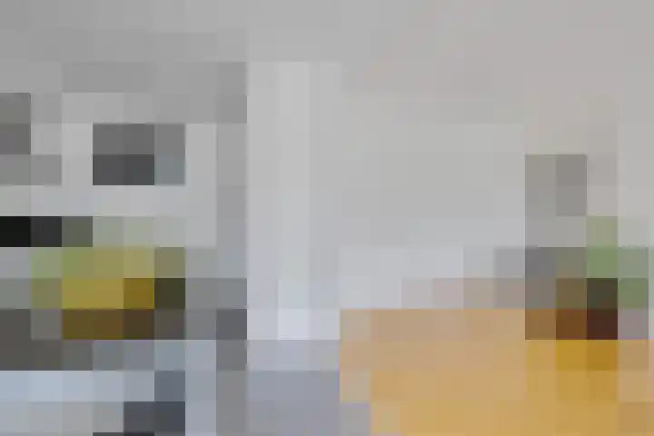 Juckemastate 3 Leeuwarden thumbnail 17