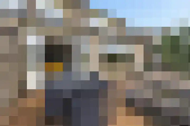 Juckemastate 3 Leeuwarden thumbnail 18