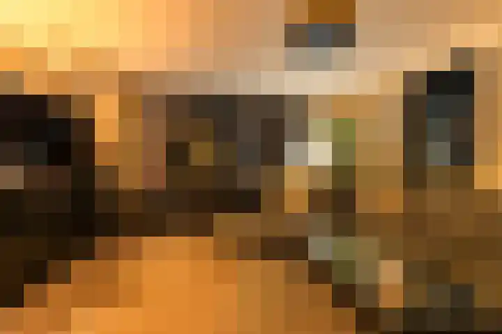 Juckemastate 8 Leeuwarden thumbnail 12