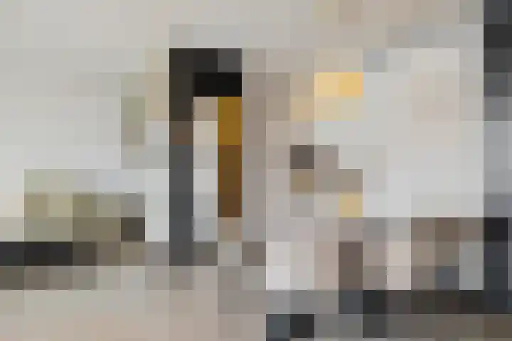 Juckemastate 8 Leeuwarden thumbnail 18