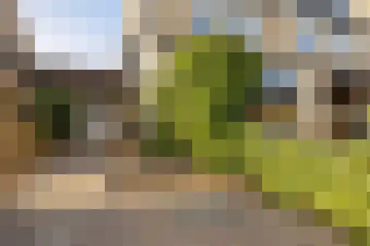 Juckemastate 8 Leeuwarden thumbnail 6
