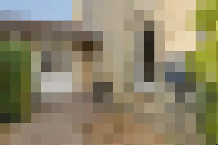 Juckemastate 8 Leeuwarden thumbnail 7