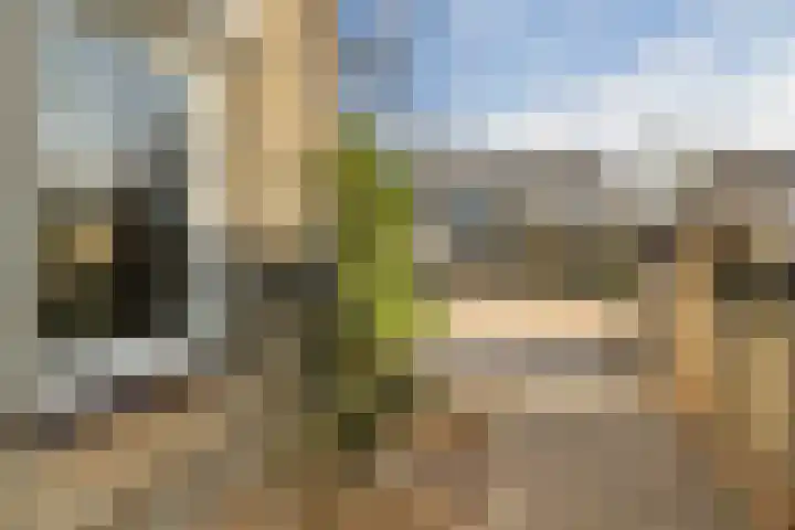 Juckemastate 8 Leeuwarden thumbnail 8