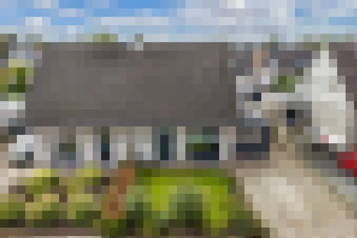 Juckemastrjitte 10 Menaam thumbnail 4