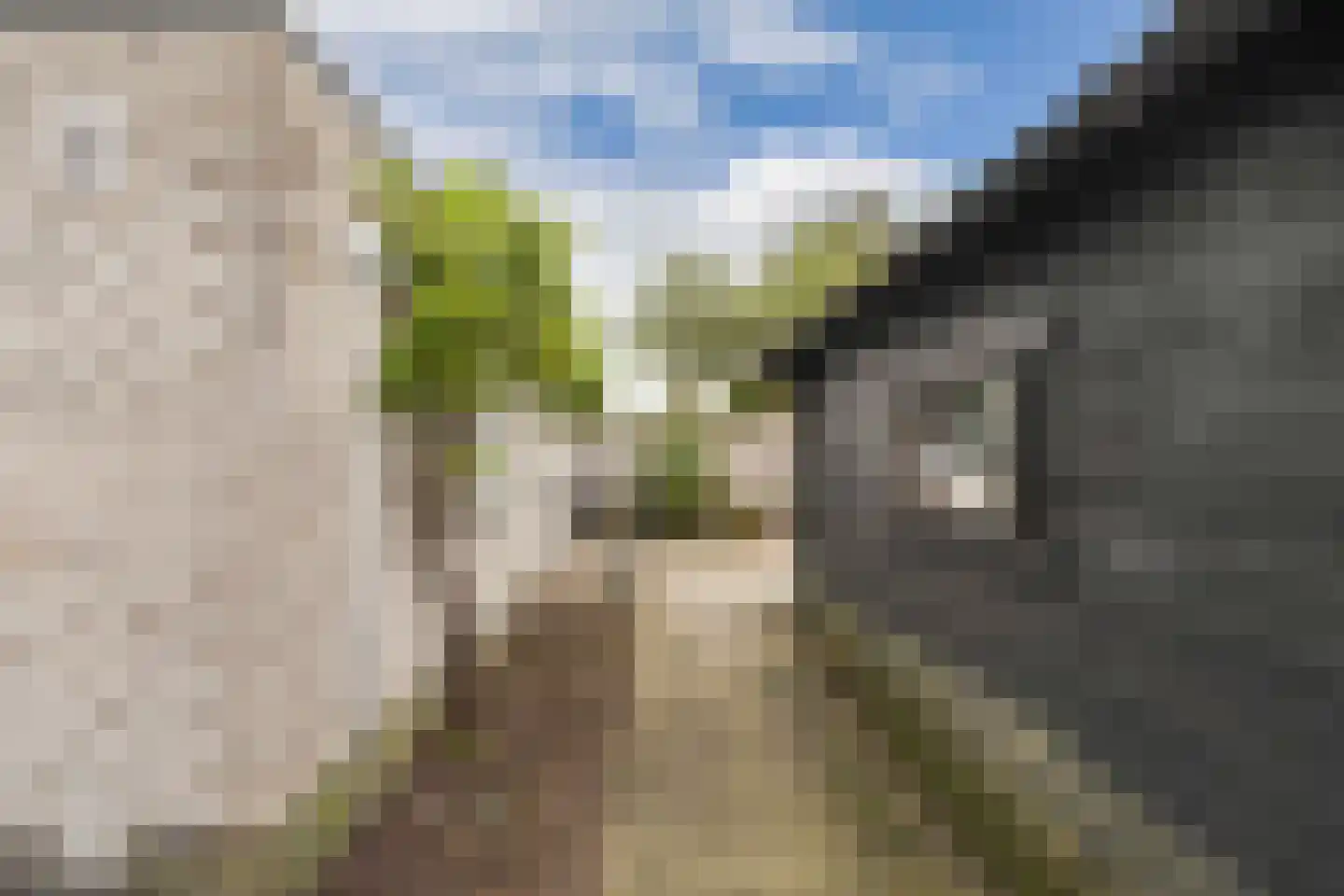 Juckemastrjitte 10 Menaam thumbnail 59