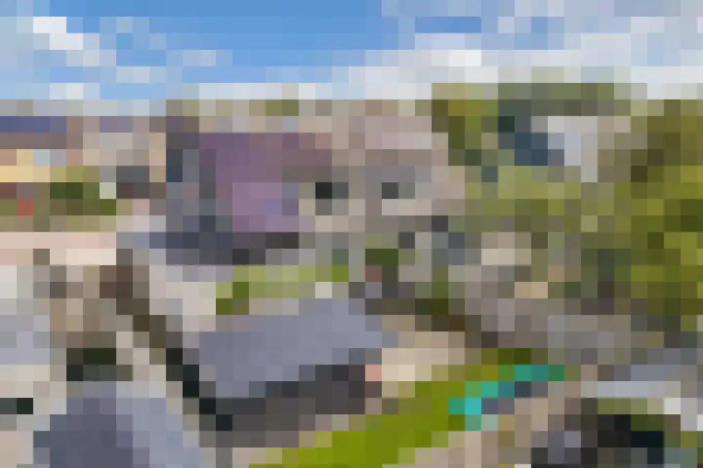 Juckemastrjitte 10 Menaam thumbnail 62