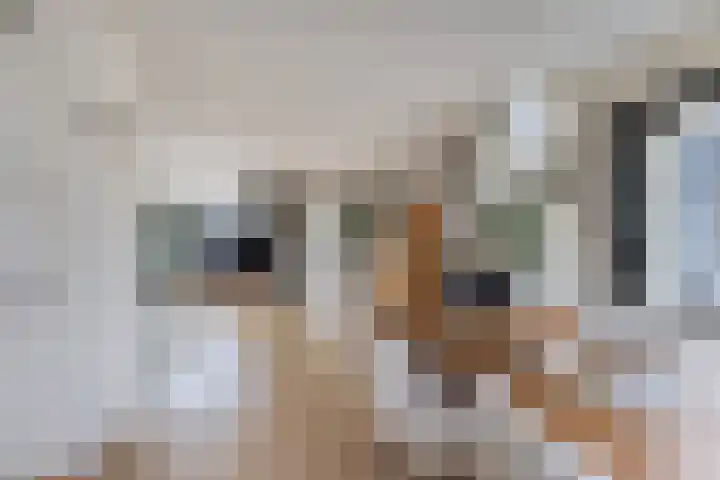 Juckemastrjitte 14 Menaam thumbnail 18