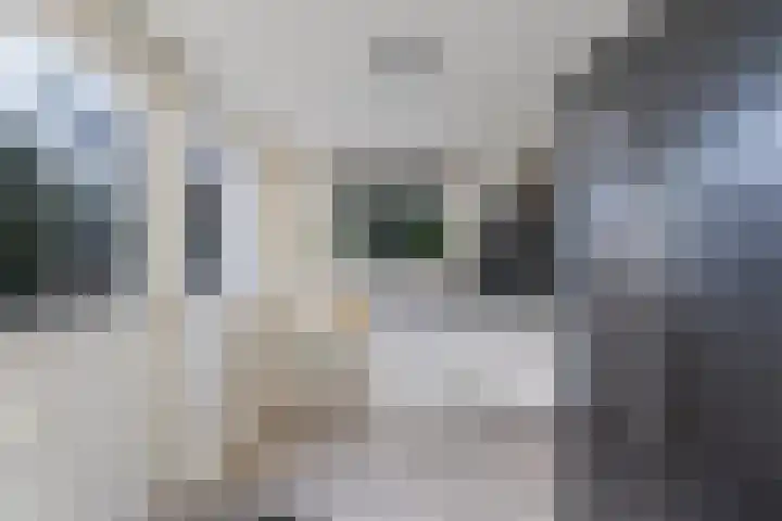 Juckemastrjitte 14 Menaam thumbnail 20