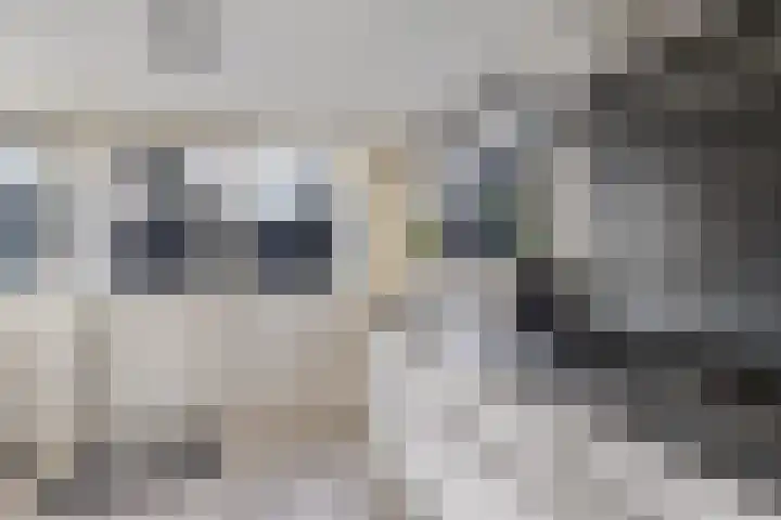 Juckemastrjitte 14 Menaam thumbnail 23