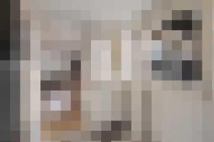 Juckemastrjitte 14 Menaam thumbnail 26