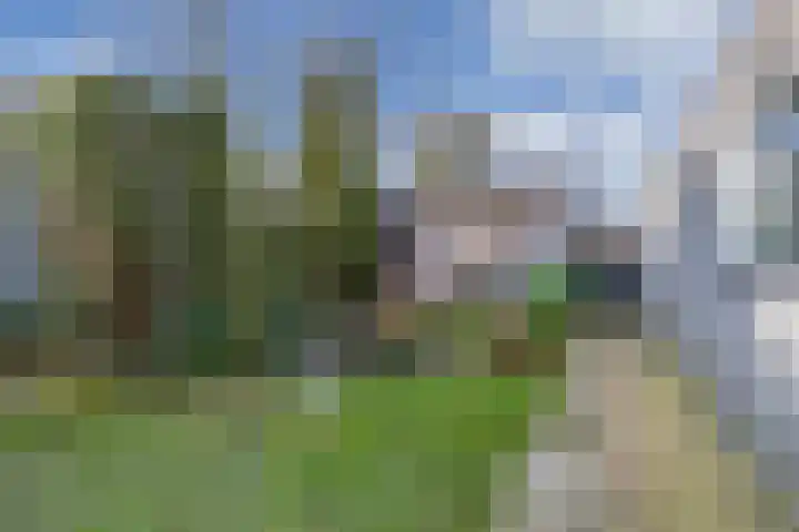 Juckemastrjitte 14 Menaam thumbnail 30