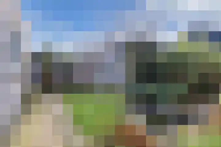 Juckemastrjitte 14 Menaam thumbnail 32