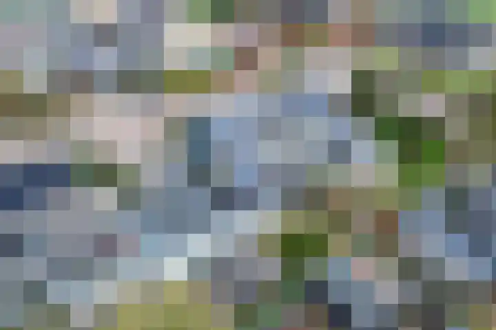 Juckemastrjitte 14 Menaam thumbnail 36
