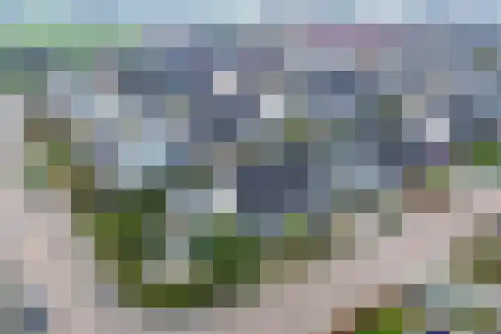 Juckemastrjitte 14 Menaam thumbnail 39