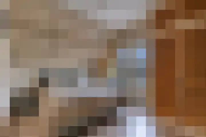 Juckemastrjitte 14 Menaam thumbnail 42