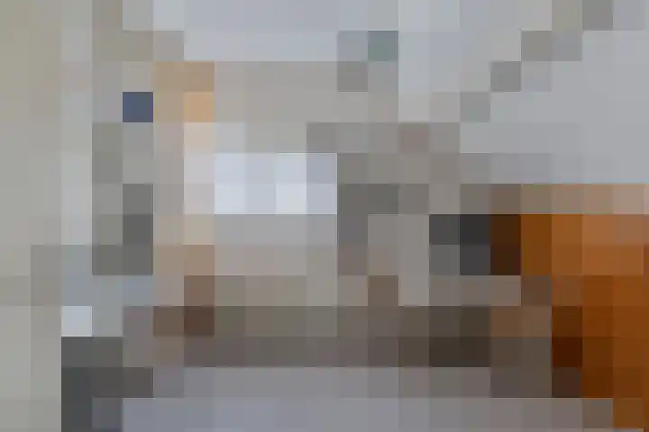 Juckemastrjitte 14 Menaam thumbnail 44