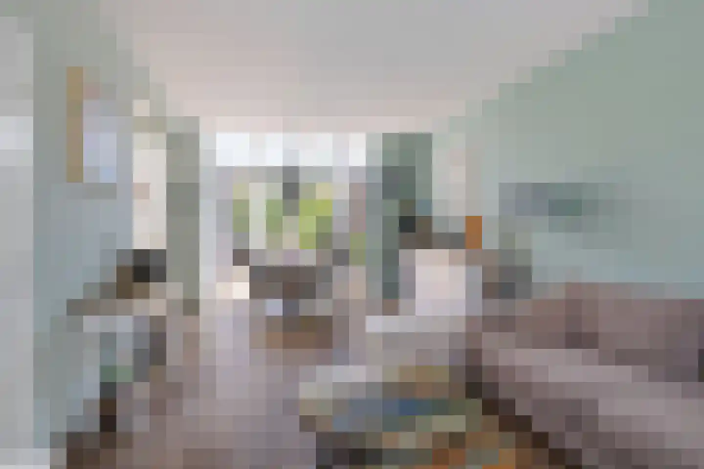 Jud. Smitsstraat 16 Valkenswaard thumbnail 10