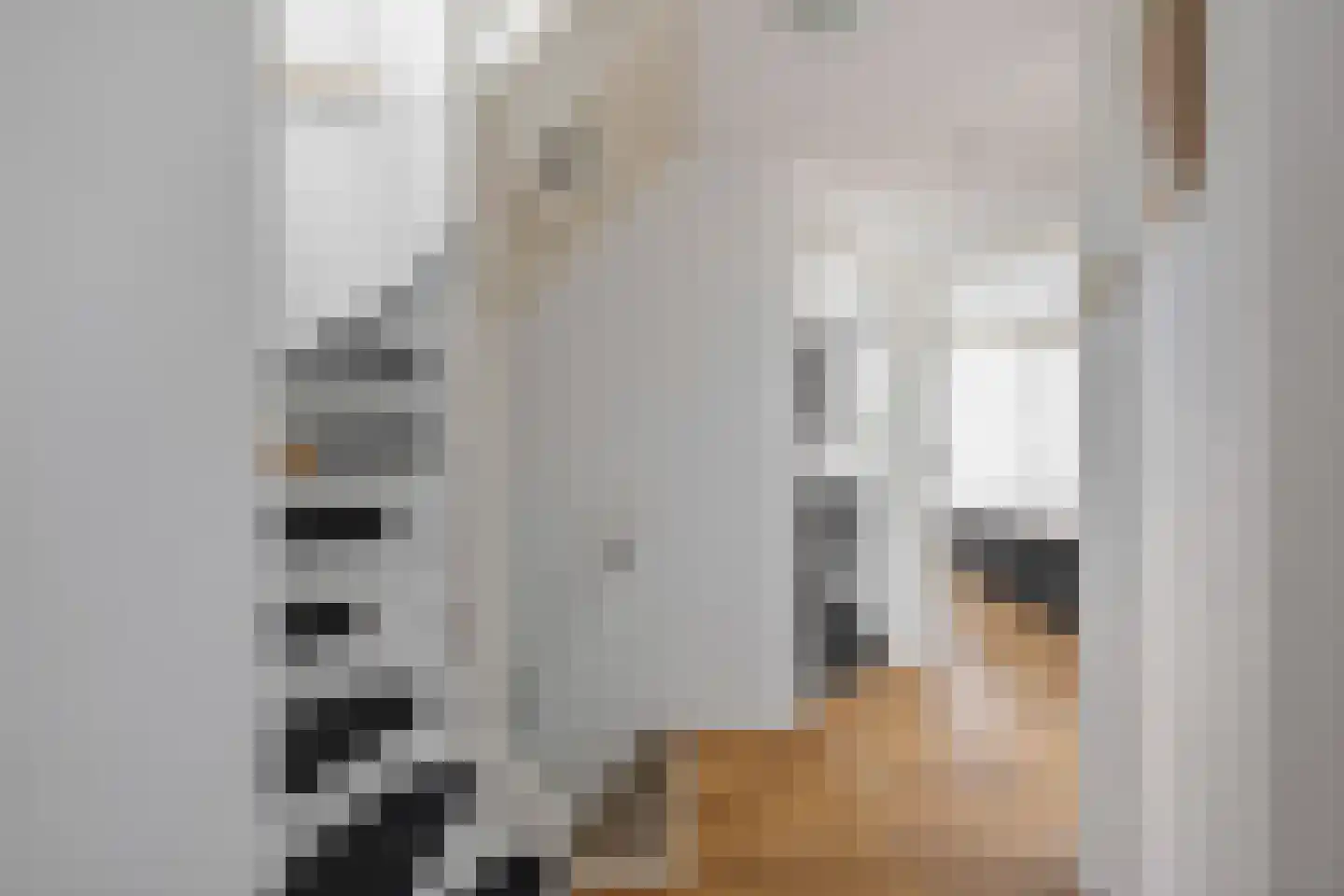 Jud. Smitsstraat 16 Valkenswaard thumbnail 20