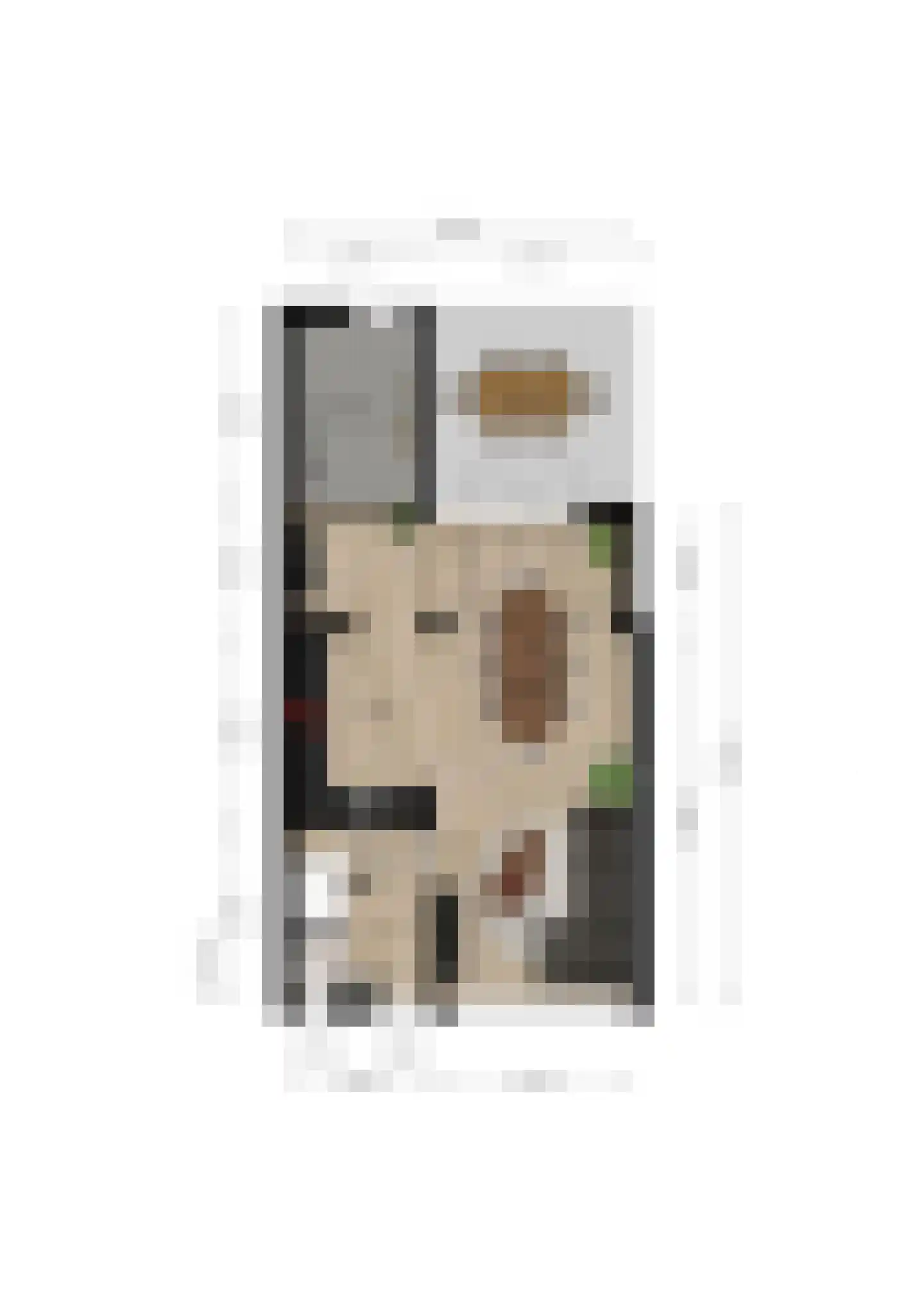 Jud. Smitsstraat 16 Valkenswaard thumbnail 31