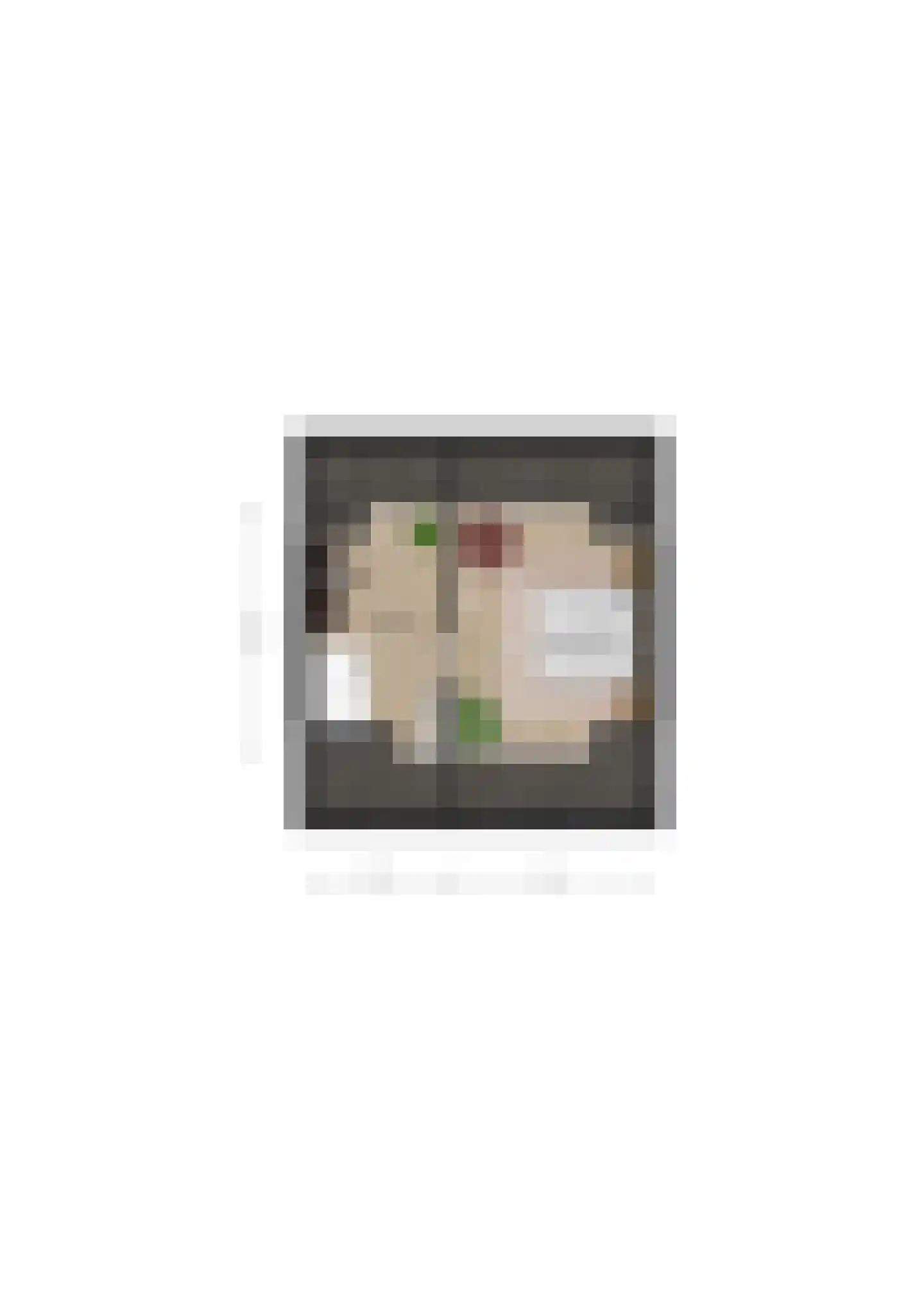 Jud. Smitsstraat 16 Valkenswaard thumbnail 33