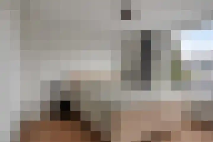 Jud. Smitsstraat 22 Valkenswaard thumbnail 20