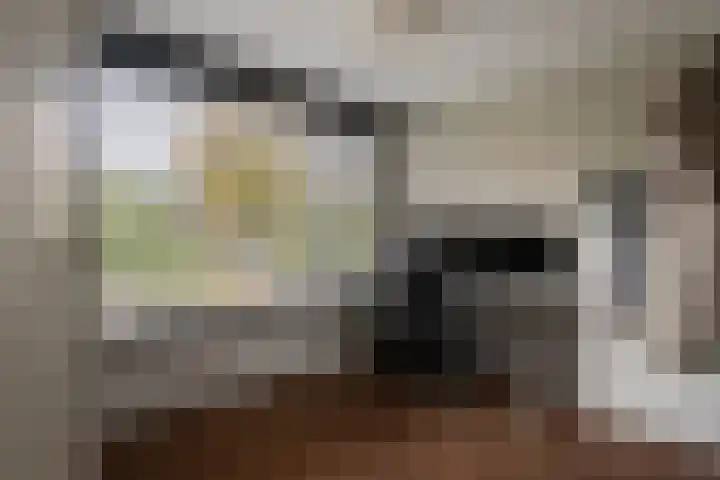 Jud. Smitsstraat 22 Valkenswaard thumbnail 22