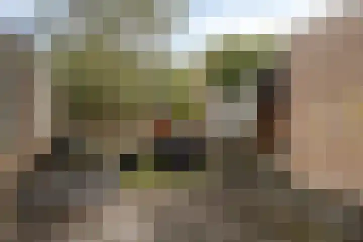 Jud. Smitsstraat 22 Valkenswaard thumbnail 29