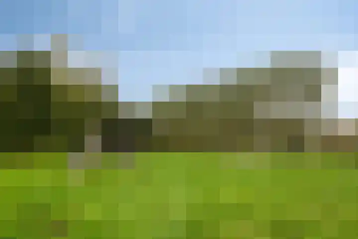 Jud. Smitsstraat 22 Valkenswaard thumbnail 31