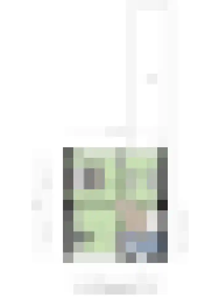 Jud. Smitsstraat 22 Valkenswaard thumbnail 33