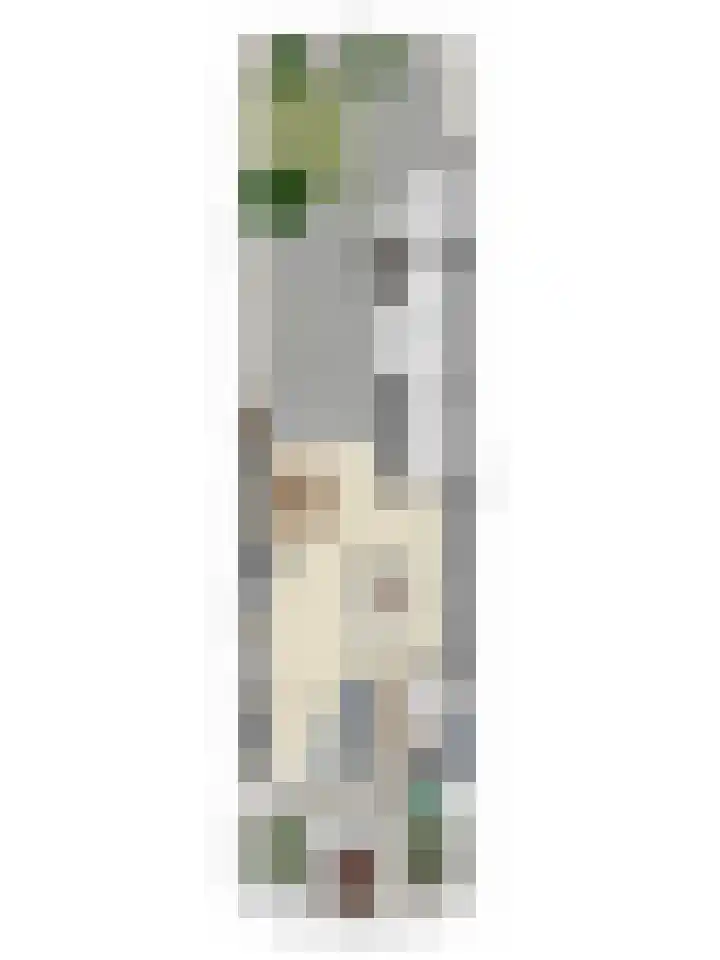 Jud. Smitsstraat 22 Valkenswaard thumbnail 35