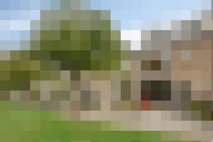 Jud. Smitsstraat 22 Valkenswaard thumbnail 6