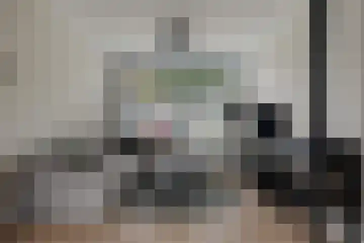 Jud. Smitsstraat 22 Valkenswaard thumbnail 8